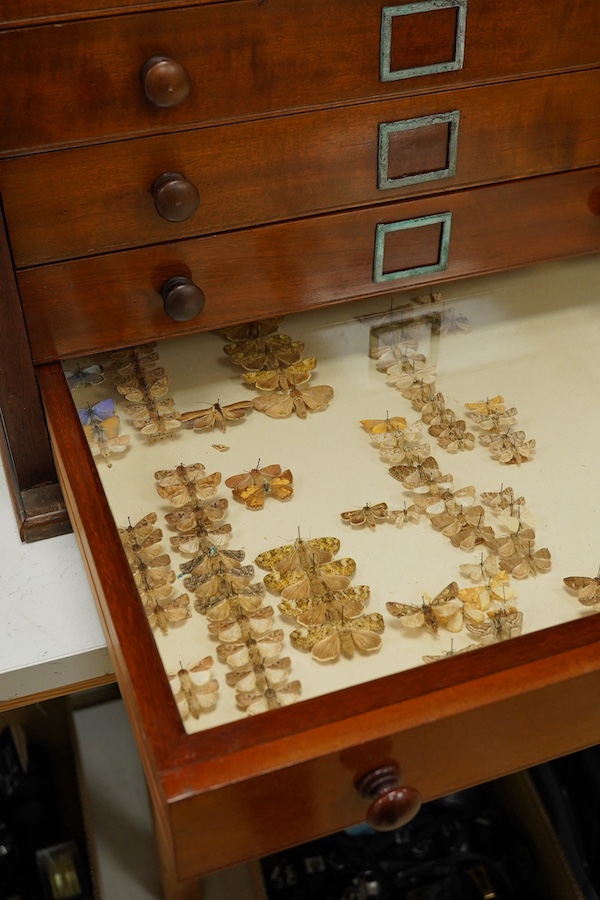 A Victorian mahogany 10-drawer collector’s cabinet with arched glazed door, height 68cm, width 54cm, depth 53cm, containing prepared and pinned moth and butterfly specimens, together with seven 1940s volumes of the Proce